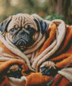 Baby Pug Diamond Painting