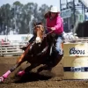 Barrel Racer Diamond Painting