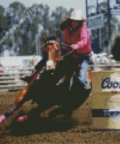 Barrel Racer Diamond Painting