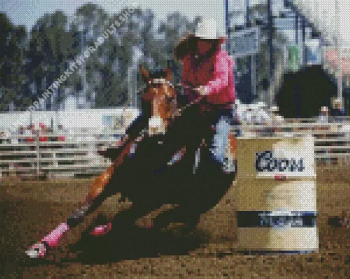 Barrel Racer Diamond Painting