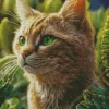 Cat With Green Eyes Diamond Painting