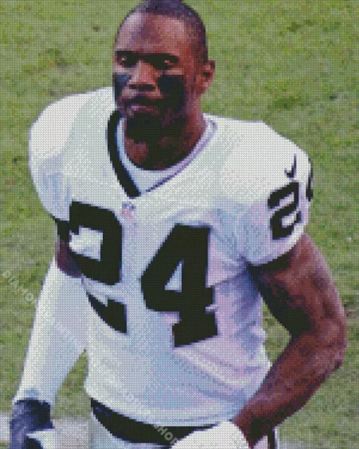 Charles Woodson Diamond Painting