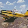 Crop Duster Airplane Diamond Painting