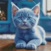 Cute Grey Baby Cat Diamond Painting