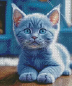 Cute Grey Baby Cat Diamond Painting