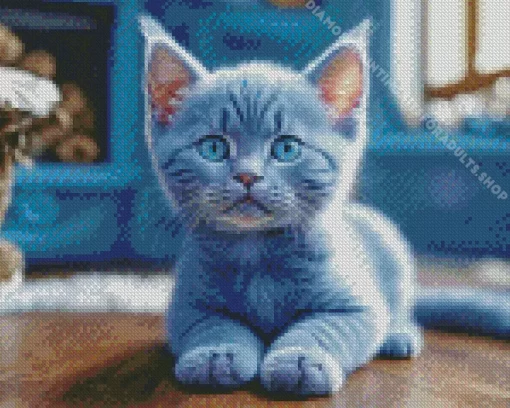 Cute Grey Baby Cat Diamond Painting