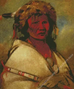 George Catlin Diamond Painting