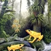 Golden Poison Dart Frogs Diamond Painting