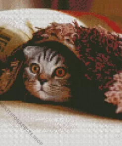 Hiding Cat Diamond Painting