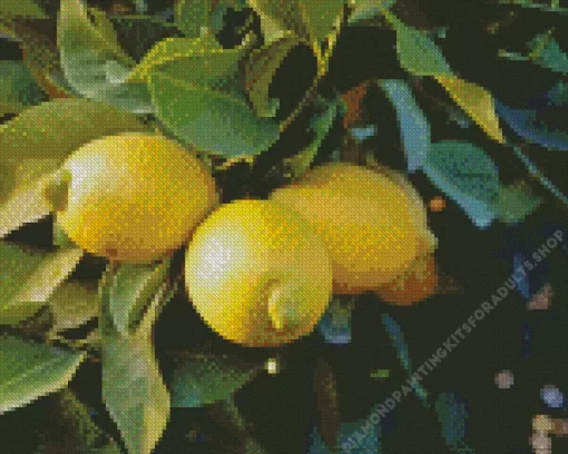 Lemon Plant Diamond Painting