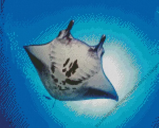 Manta Rays Diamond Painting