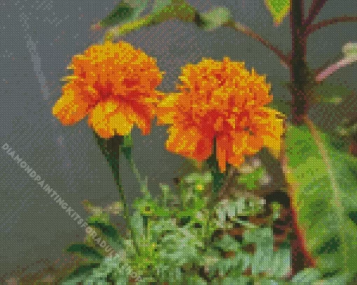 Tagetes Erecta Diamond Painting