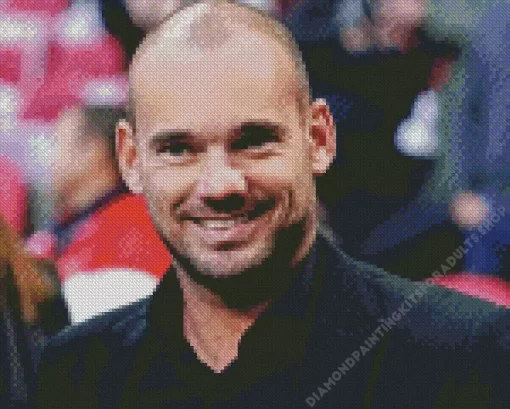 Wesley Sneijder Diamond Painting