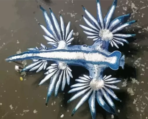 Glaucus Atlanticus Diamond Painting