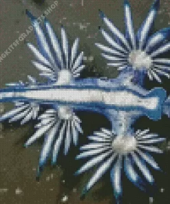 Glaucus Atlanticus Diamond Painting