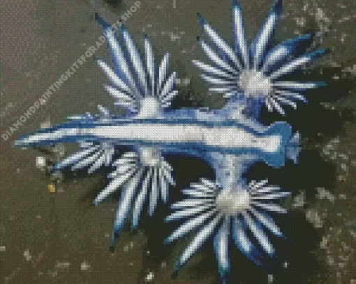 Glaucus Atlanticus Diamond Painting