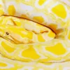 Golden Yellow Python Diamond Painting