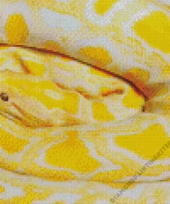 Golden Yellow Python Diamond Painting