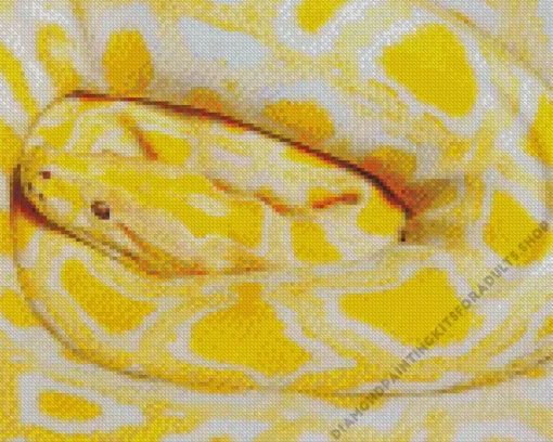 Golden Yellow Python Diamond Painting