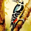 Great Spotted Woodpecker Bird Diamond Painting