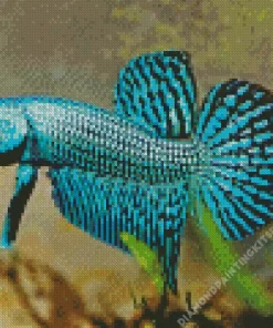 Green Betta Fish Diamond Painting