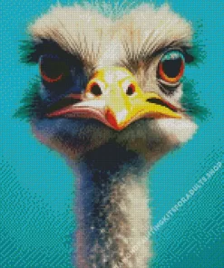 Grey Ostrich Close Up Diamond Painting