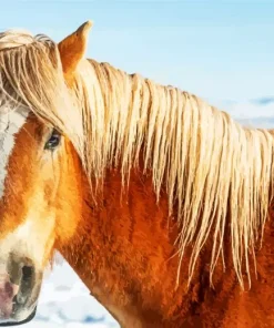 Horse With Blond Hair Diamond Painting