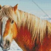 Horse With Blond Hair Diamond Painting