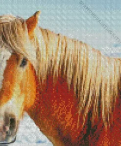 Horse With Blond Hair Diamond Painting