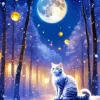 Aesthetic Full Moon Cat Diamond Painting