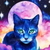 Aesthetic Galaxy Cat Diamond Painting