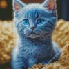 Baby Blue Cat Diamond Painting