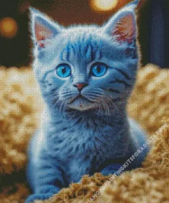 Baby Blue Cat Diamond Painting