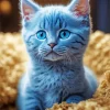 Baby Blue Cat Diamond Painting