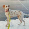 Blond Dalmatian Diamond Painting