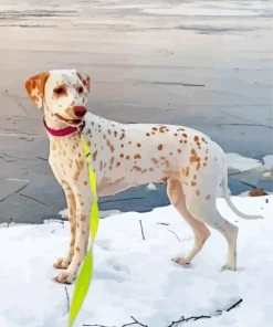 Blond Dalmatian Diamond Painting