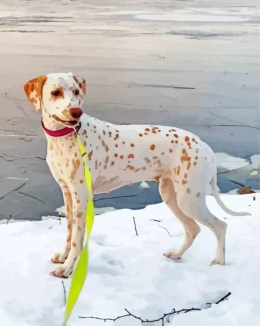 Blond Dalmatian Diamond Painting