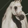 Blonde Arabian Horse Diamond Painting