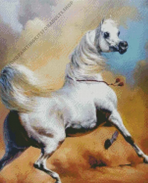 Blonde Arabian Horse In Desert Diamond Painting