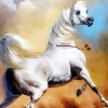 Blonde Arabian Horse In Desert Diamond Painting