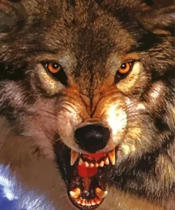 Dangerous Wild Growling Wolf Diamond Painting