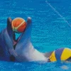 Dolphin Playing With Ball Diamond Painting