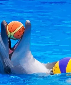 Dolphin Playing With Ball Diamond Painting