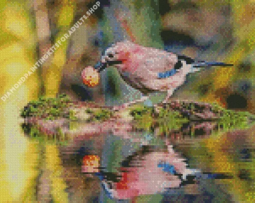 Eurasian Jay Diamond Painting