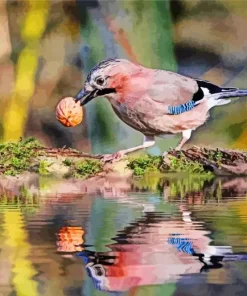 Eurasian Jay Diamond Painting