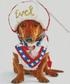 Evel Knievel Dog Diamond Painting