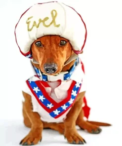 Evel Knievel Dog Diamond Painting