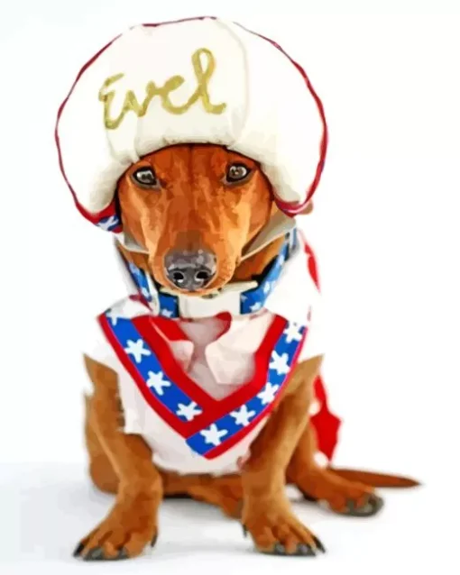 Evel Knievel Dog Diamond Painting