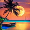 Full Moon Palm Tree Diamond Painting