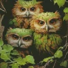 Green Group Of Owls Diamond Painting